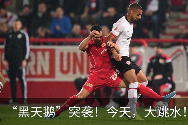 “黑天鹅”突袭！今天，大跳水！