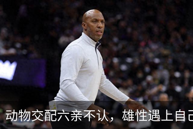 动物交配六亲不认，雄性遇上自己母亲怎么办？马不欺母是真的吗？