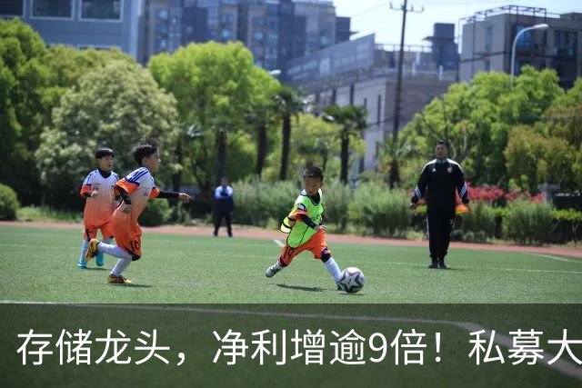 存储龙头，净利增逾9倍！私募大佬重仓未动