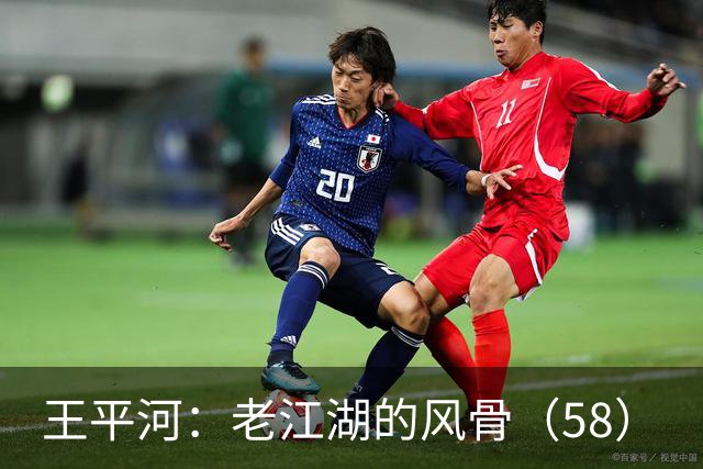 王平河：老江湖的风骨（5/8）