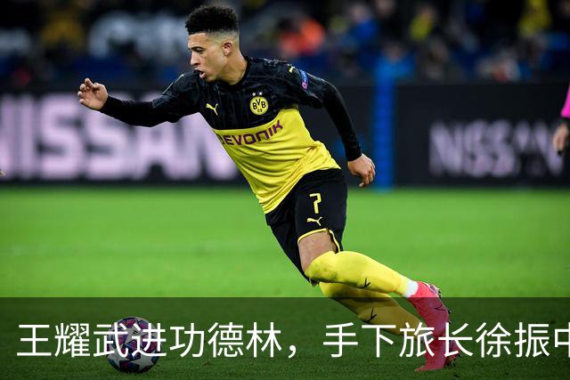 王耀武进功德林，手下旅长徐振中被许世友点名枪决，宽大政策因何独对他例外