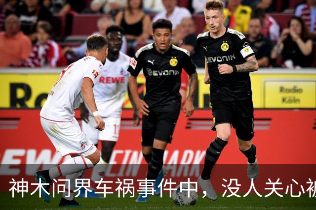 神木问界车祸事件中，没人关心被烧死的那个人