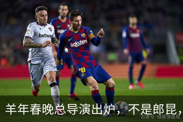 羊年春晚总导演出炉，不是郎昆，也不是哈文，而是刚收获好评的她