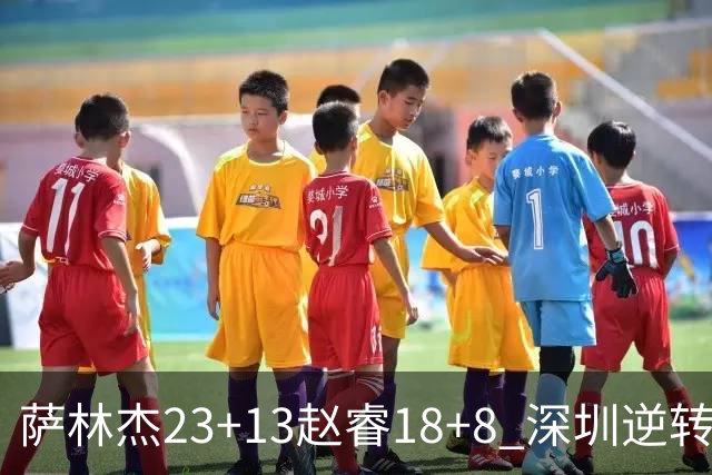 萨林杰23+13赵睿18+8 深圳逆转终结广东4连胜